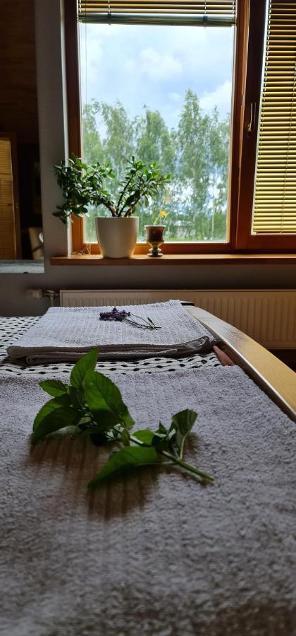 Spacious House With Indoor Pool & Sauna. Ādaži Eksteriør bilde